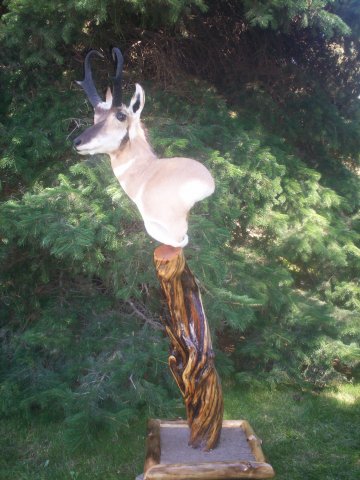 Antelope pedestal
