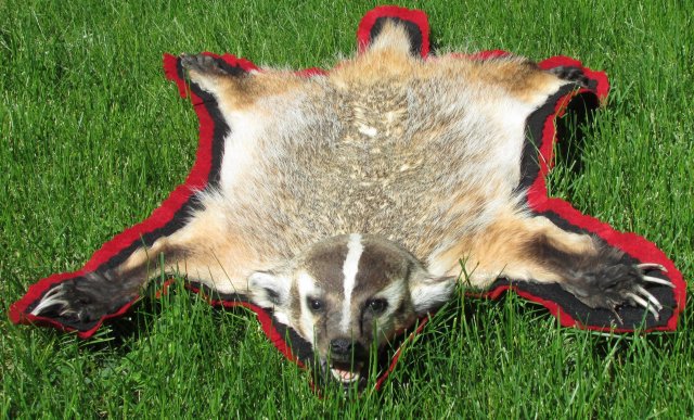 Badger rug